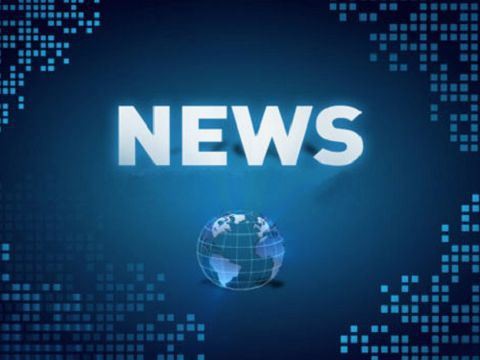 La composizione e la funzione del perno Pogo